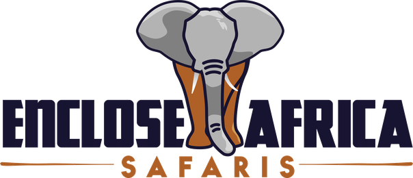 Enclose Africa Safaris