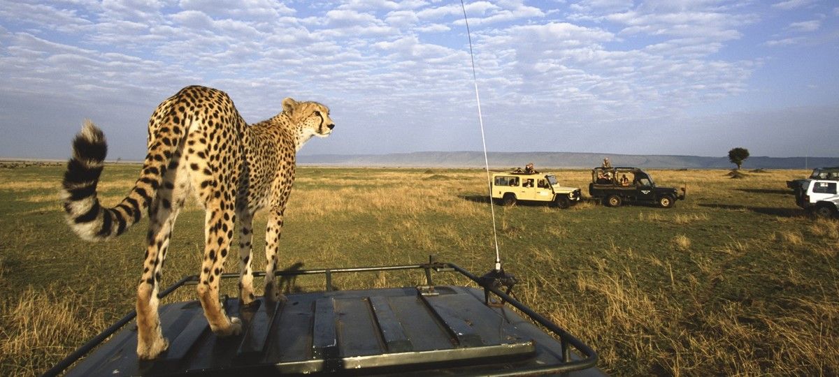 Maasai Mara National Park | Maasai Mara and Serengeti Safari Tours