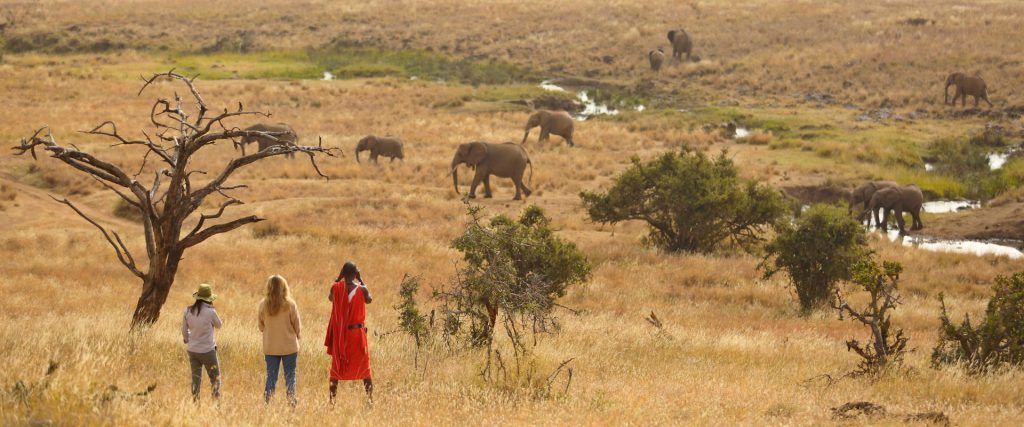 2 Days Short Maasai Mara Safari | Kenya Safari and Beach Holiday