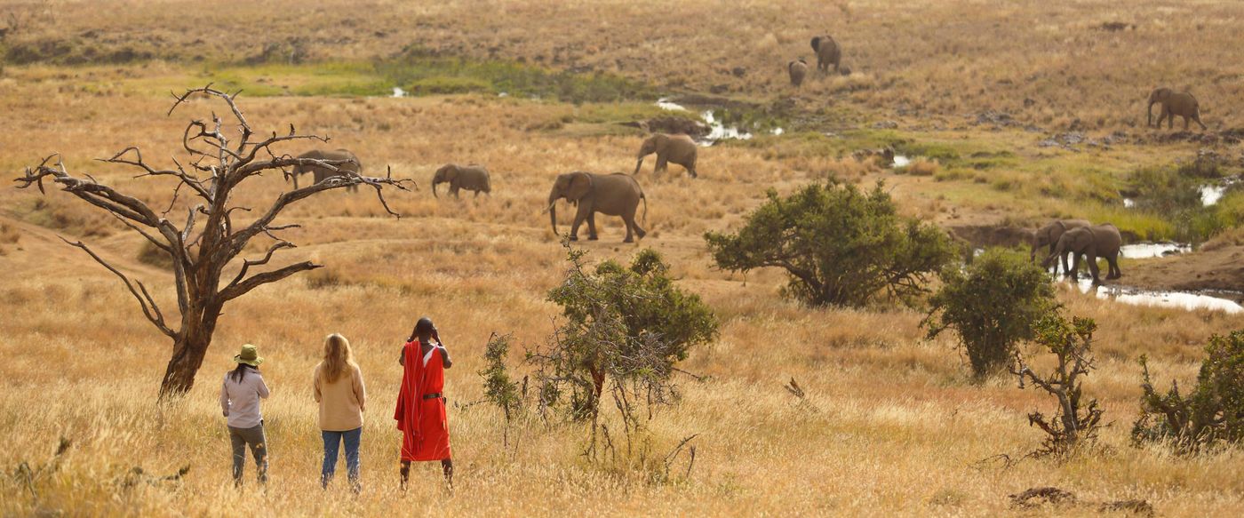 2 Days Short Maasai Mara Safari