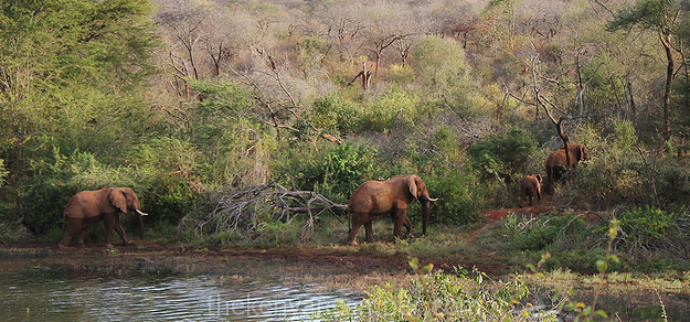Major attractions in Kenya