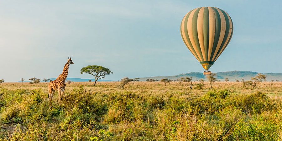 Best time to Visit Tanzania
