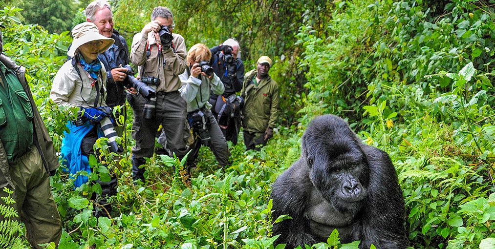 8 Days Magical Rwanda and Mgahinga Gorilla Trip