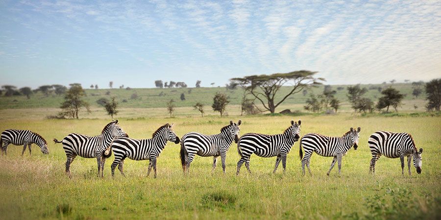 Tanzania Destinations