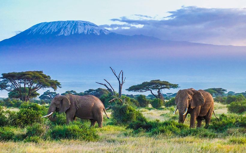 14 DAYS TANZANIA CLASSIC ADVENTURE SAFARI
