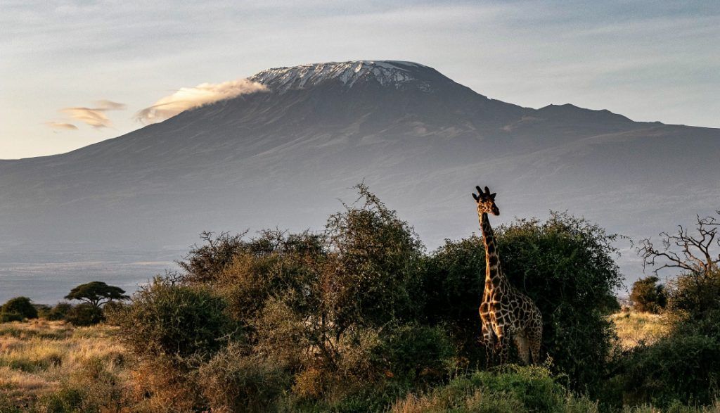Best time to climb Kilimanjaro