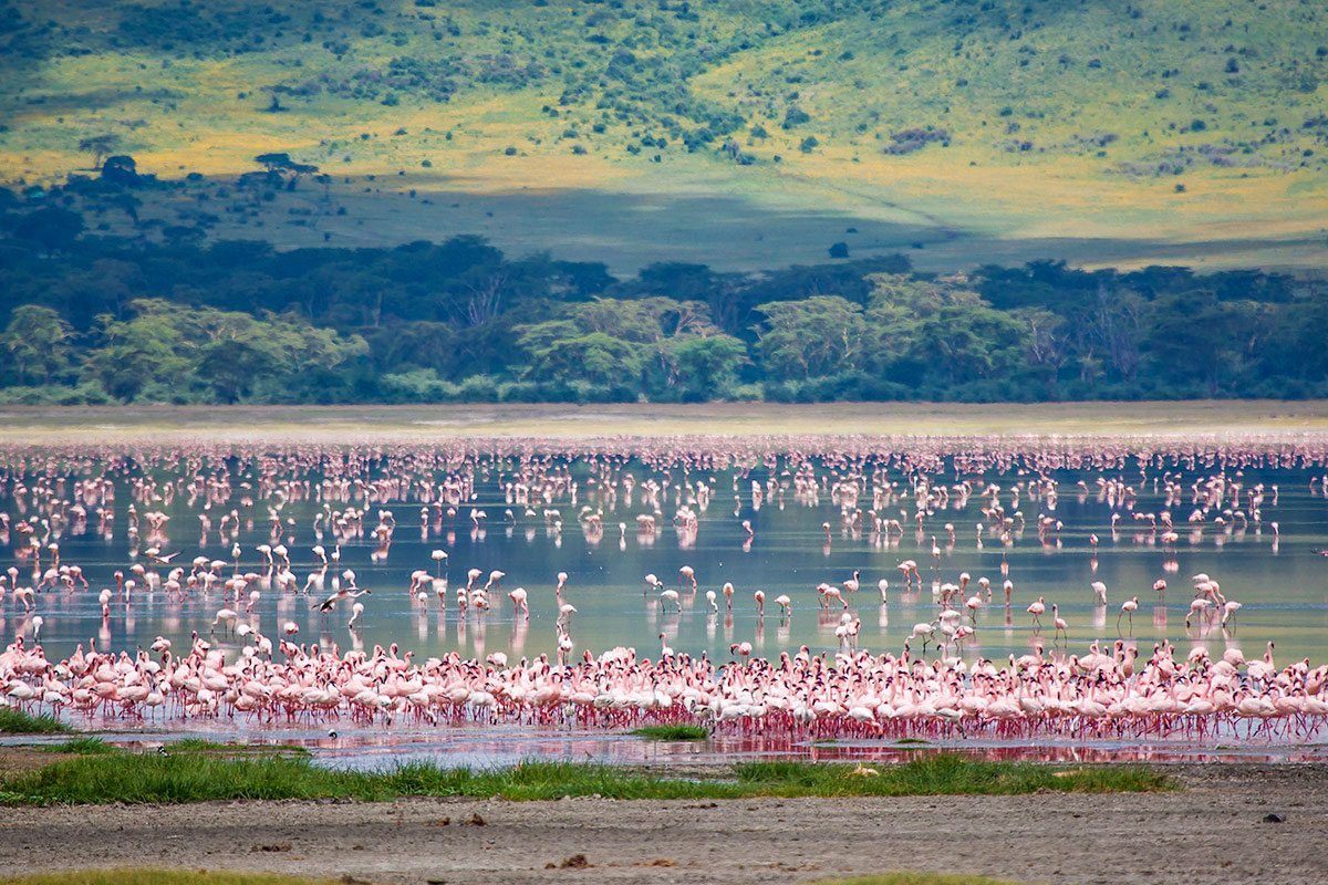 Top 10 Things to do in Kenya