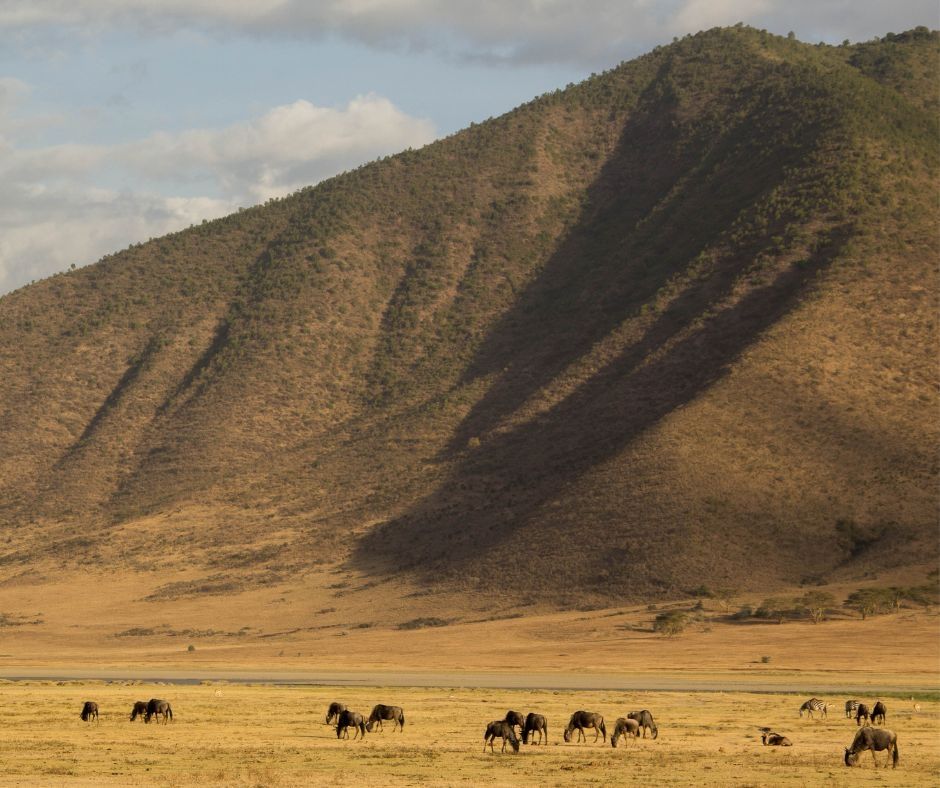 The Ngorongoro Crater: A Natural Wonder of the World