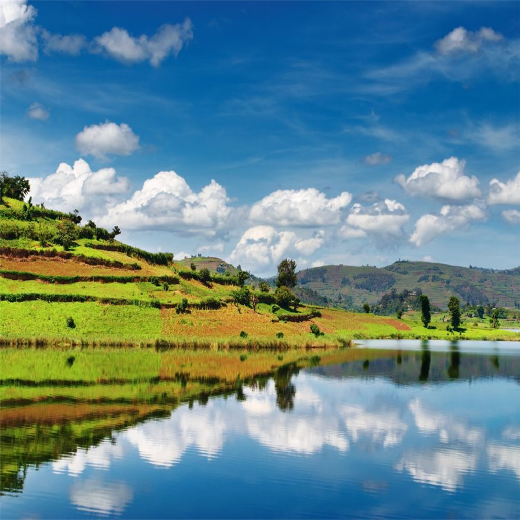 The Best Time to Visit Uganda and Rwanda: A Seasonal Guide