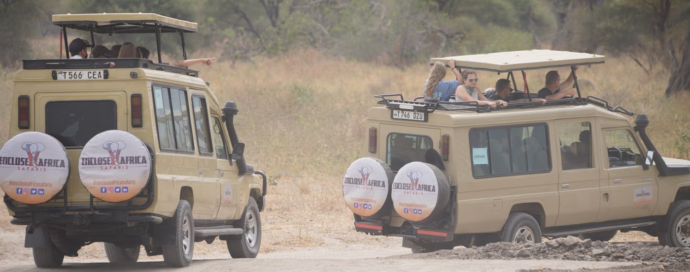 Two safari vehicles from Enclose Africa Safaris driving through a national park. Understanding Kenya vs Tanzania Safari