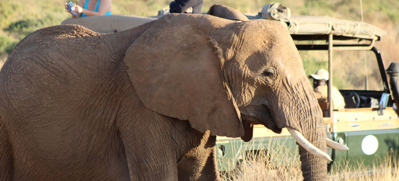 Tanzania Travel Packages