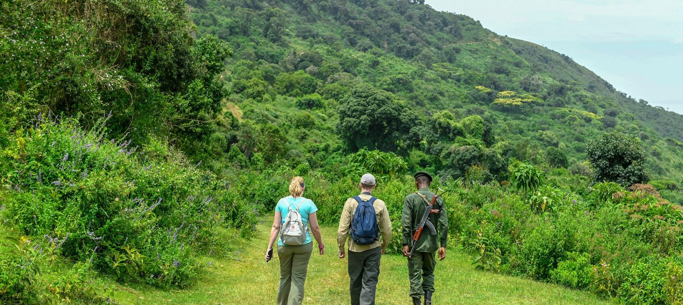 SAFARI IN NGORONGORO CRATER HIKING ACTIVITY