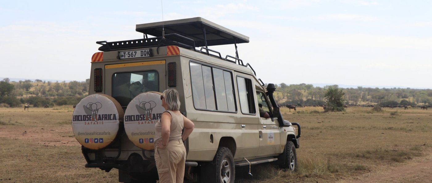 What is a game drive?