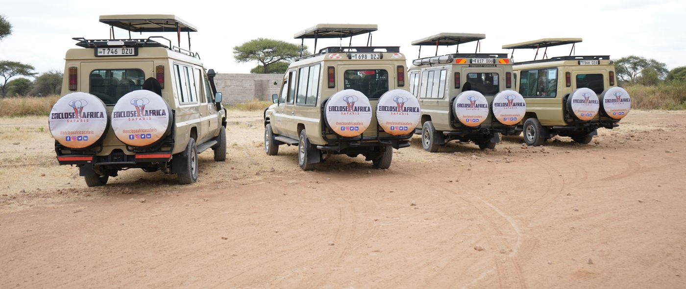 What is a game drive? 4X4 Land Cruisers labelled "What is a game drive?"